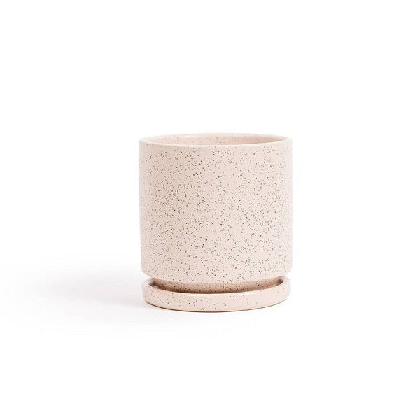 Gemstone Pots + Water Saucers - DIGS