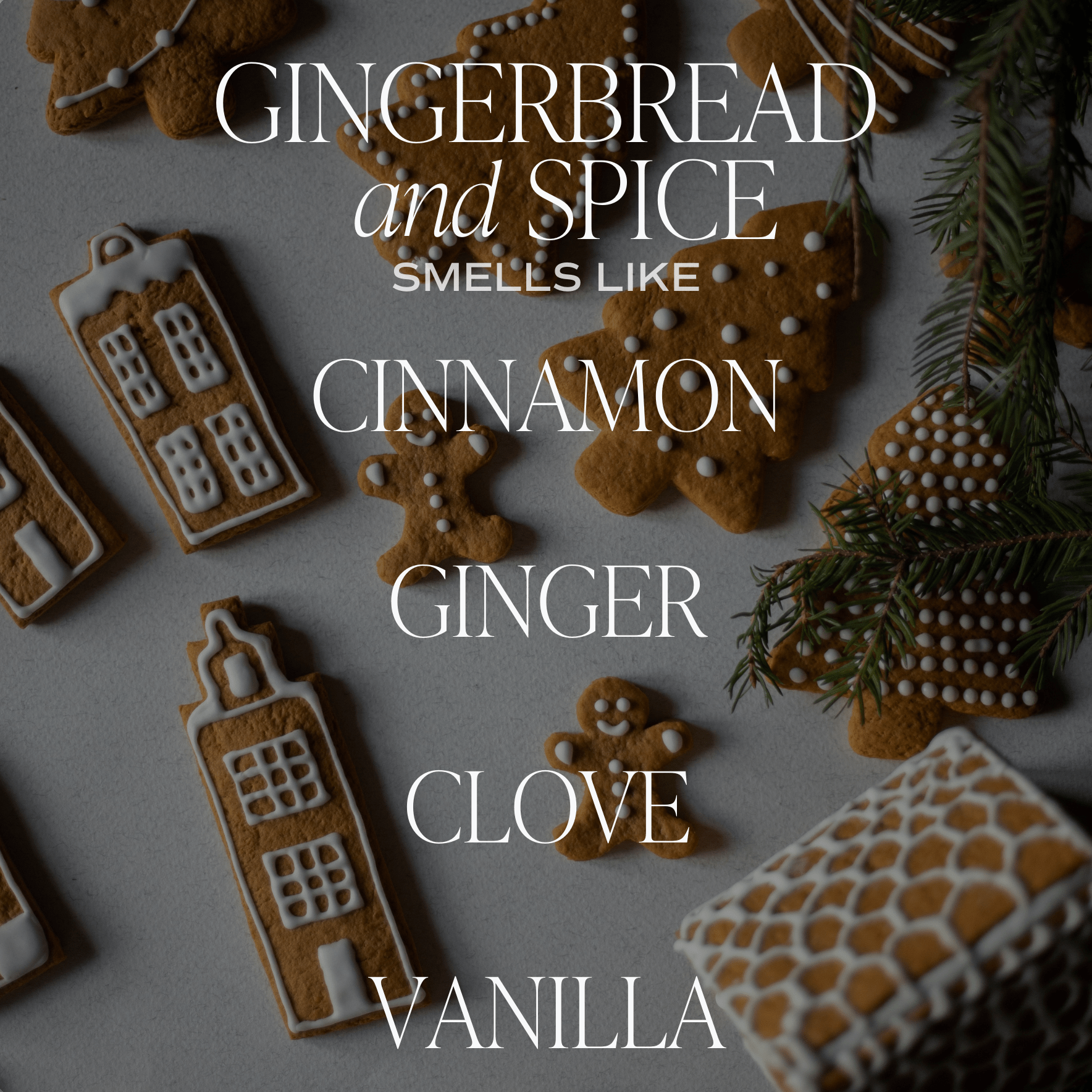 Gingerbread and Spice Candle - DIGS
