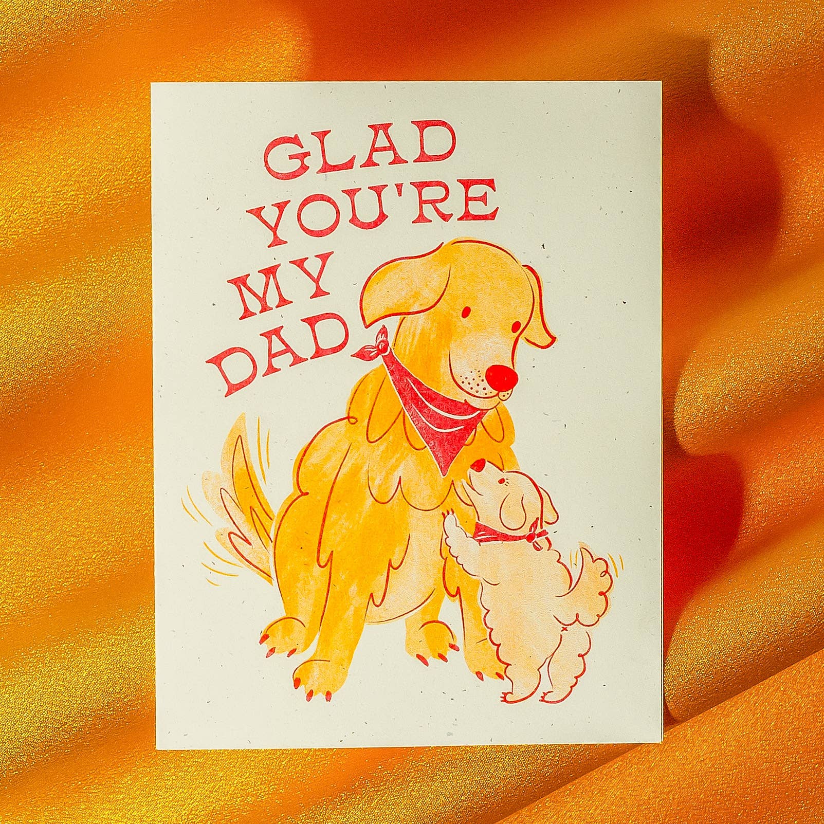 Glad You're My Dad Card - DIGS