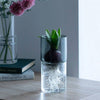 Glass Flower Vase - DIGS