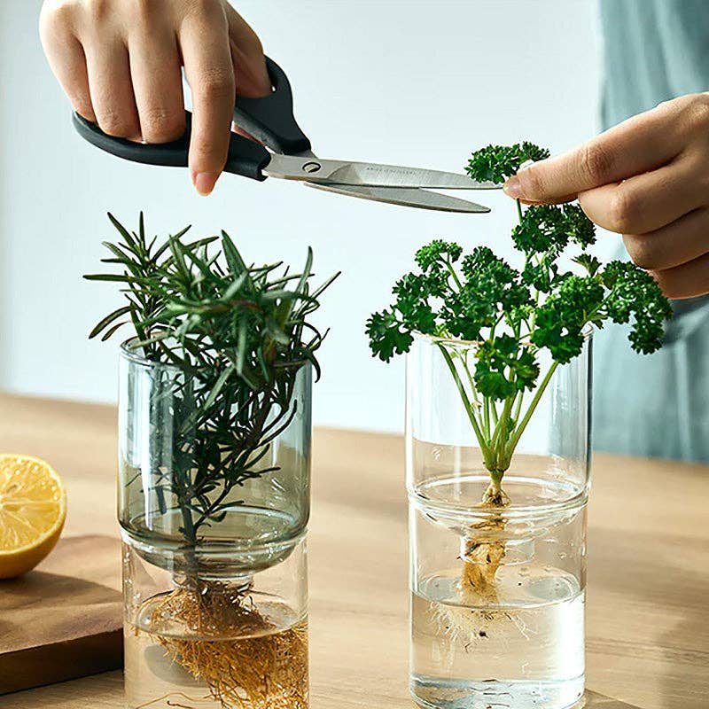 Glass Flower Vase - DIGS