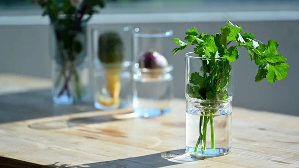 Glass Flower Vase - DIGS