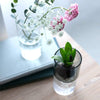 Glass Flower Vase - DIGS