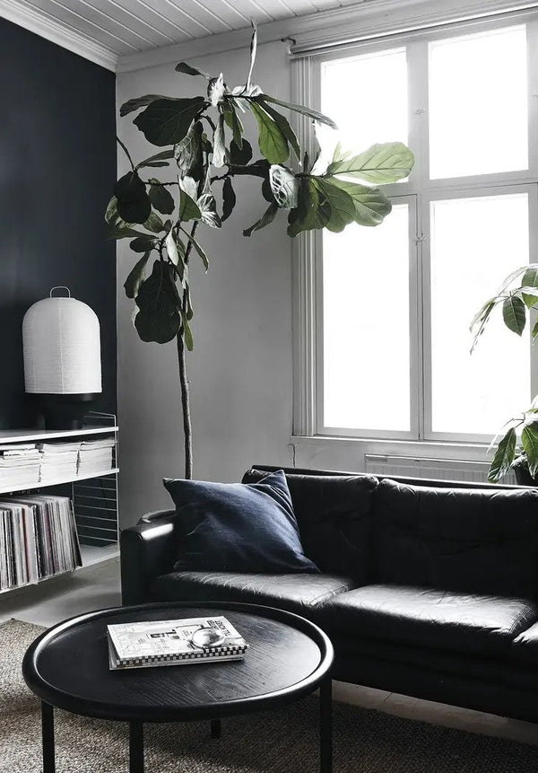 Green Home Book - DIGS