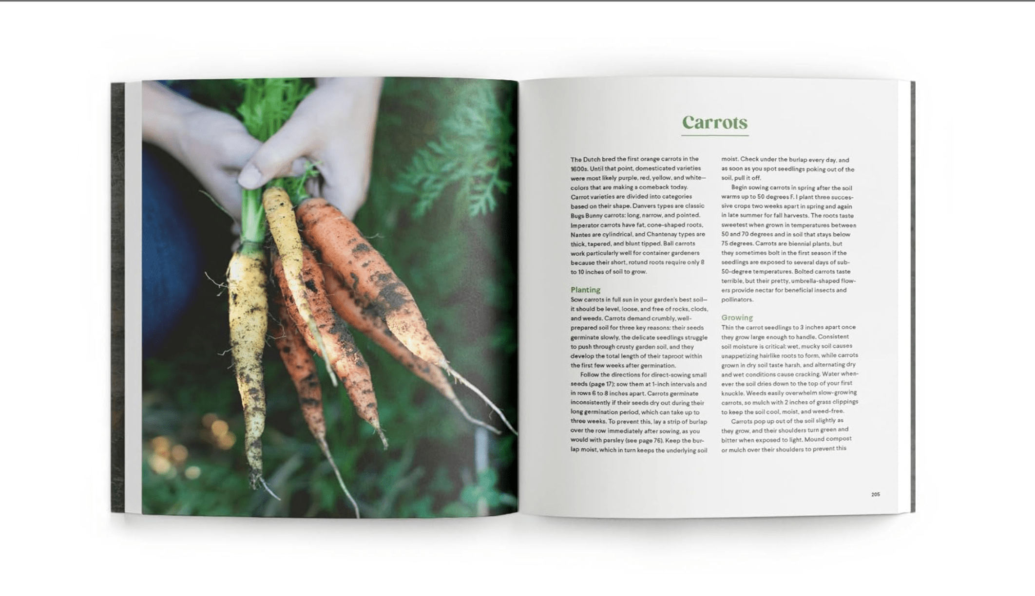 Grow Cook Eat: A Food Lover's Guide to Vegetable Gardening - DIGS