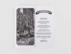 Grow Your Own Giant Sequoia - DIGS
