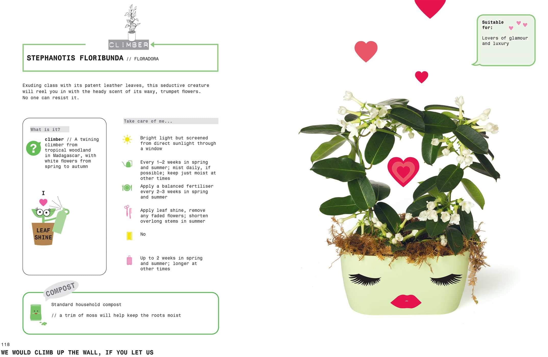 Grow Your Own Pet Plants - DIGS