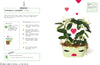 Grow Your Own Pet Plants - DIGS
