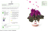 Grow Your Own Pet Plants - DIGS