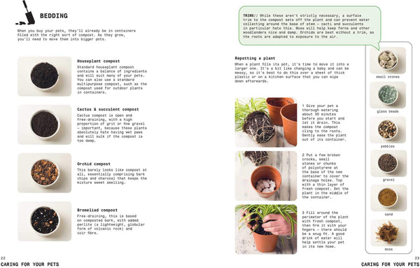 Grow Your Own Pet Plants - DIGS
