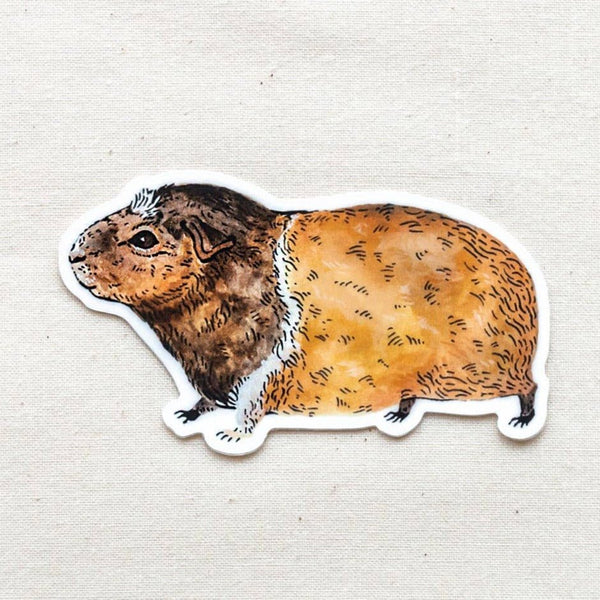 Guinea Pig Vinyl Sticker - DIGS