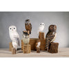 Hand Carved Barn Owl Ornament - DIGS