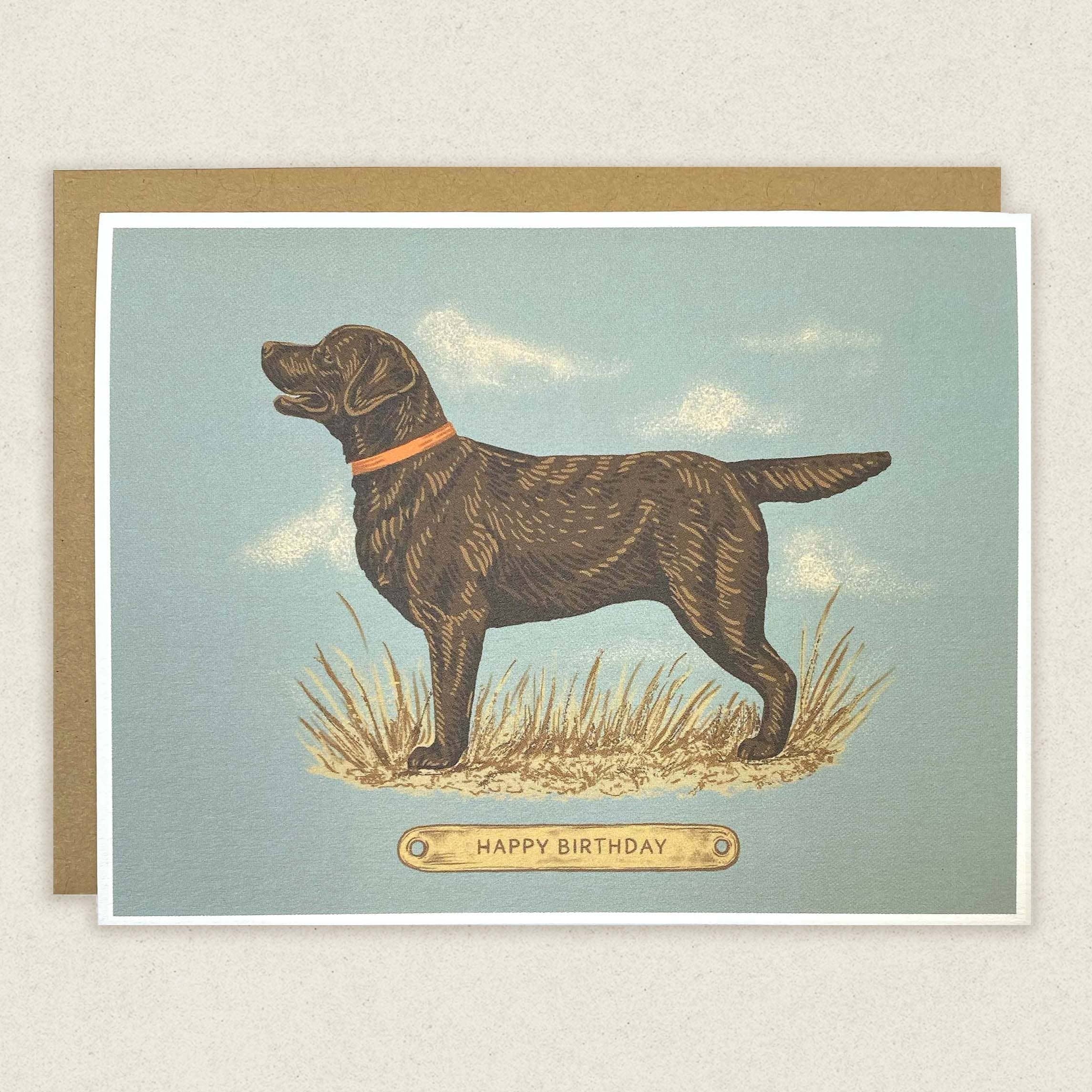 Happy Birthday Chocolate Lab Card - DIGS
