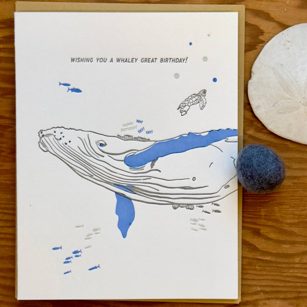 Have a Whaley Great Birthday Card - DIGS