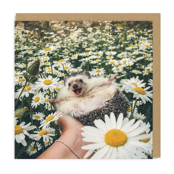 Hedgehog Daisy Field Card - DIGS