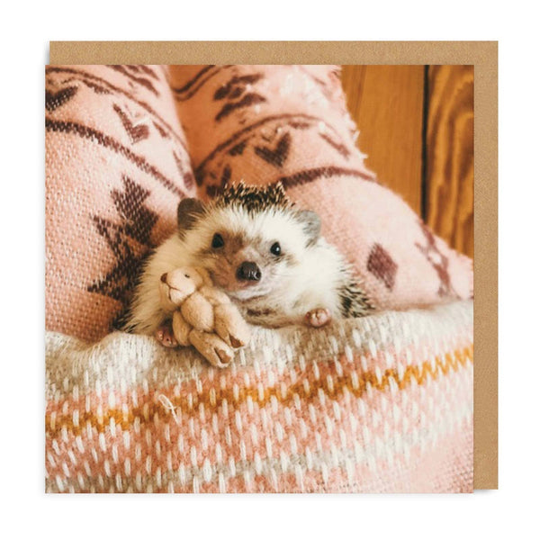 Hedgehog in Bed Card - DIGS