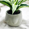 Hera Handmade Concrete Planter - DIGS