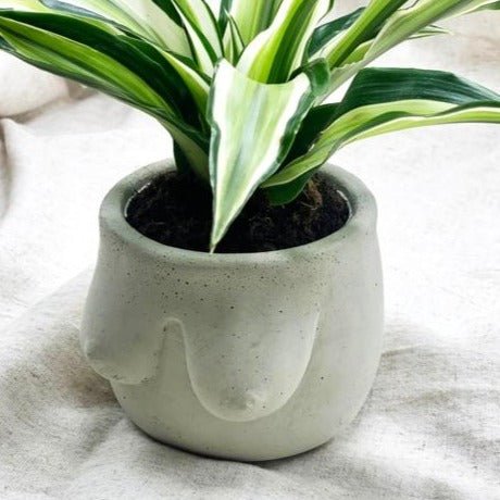 Hera Handmade Concrete Planter - DIGS