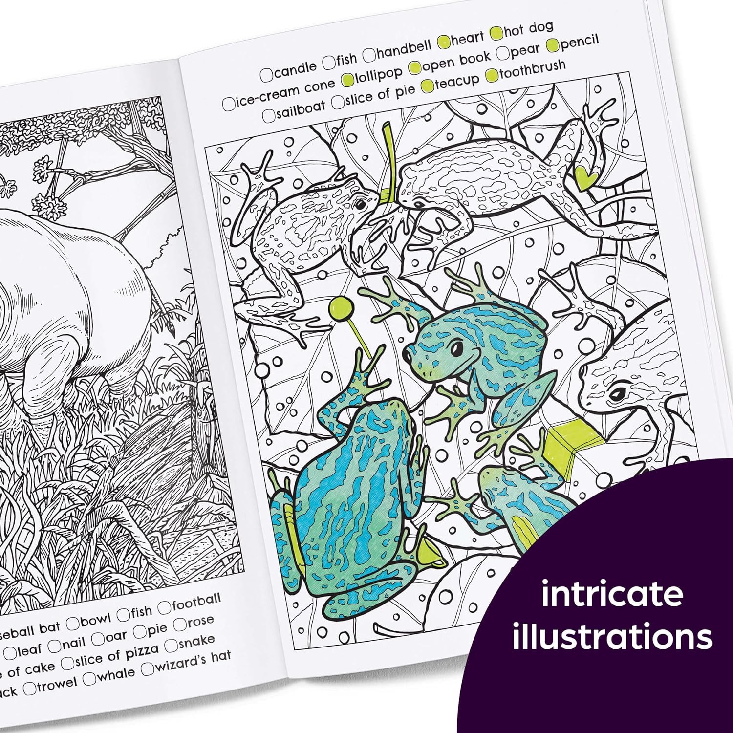 Hidden in Nature: A Cozy Hidden Pictures Coloring Book - DIGS