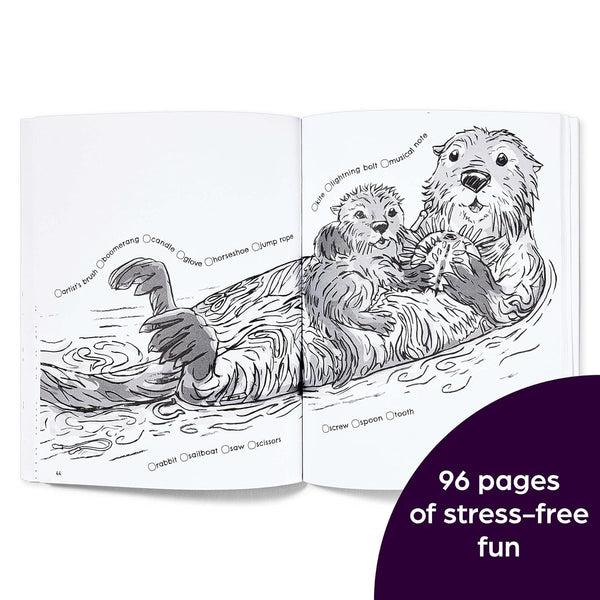 Hidden in Nature: A Cozy Hidden Pictures Coloring Book - DIGS