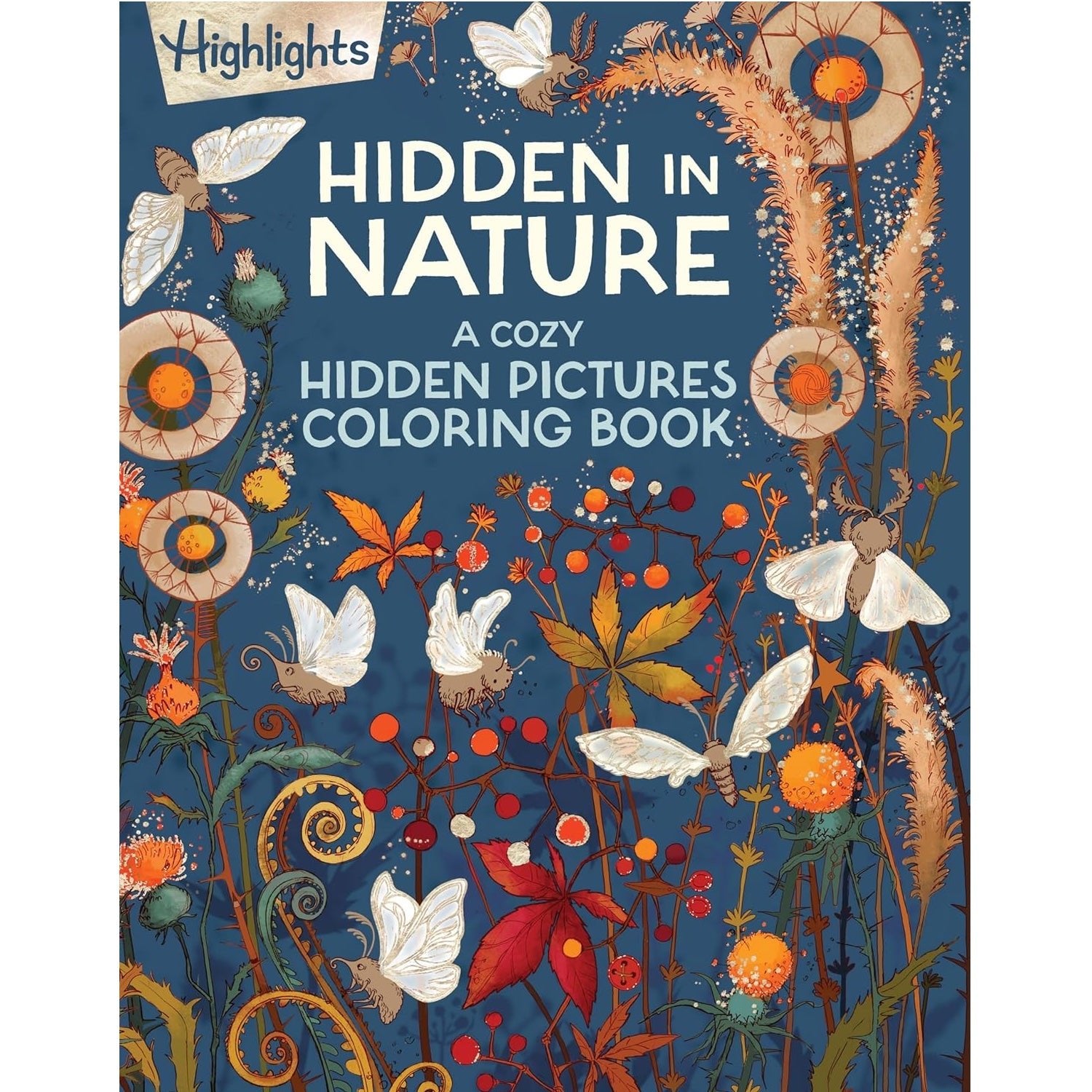 Hidden in Nature: A Cozy Hidden Pictures Coloring Book - DIGS