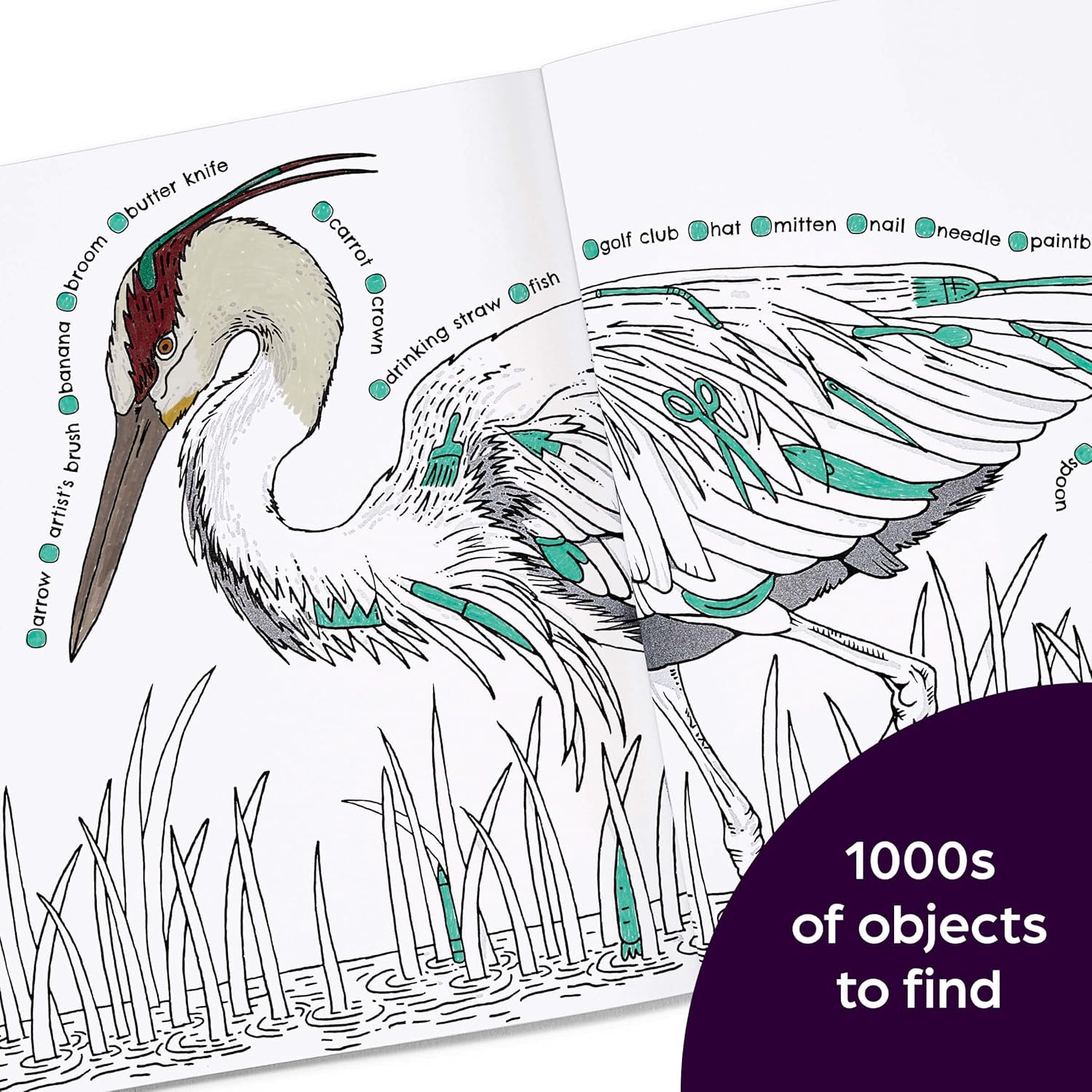 Hidden in Nature: A Cozy Hidden Pictures Coloring Book - DIGS