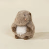 Hippopotamus Mini Plush Toy - DIGS