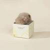 Hippopotamus Mini Plush Toy - DIGS