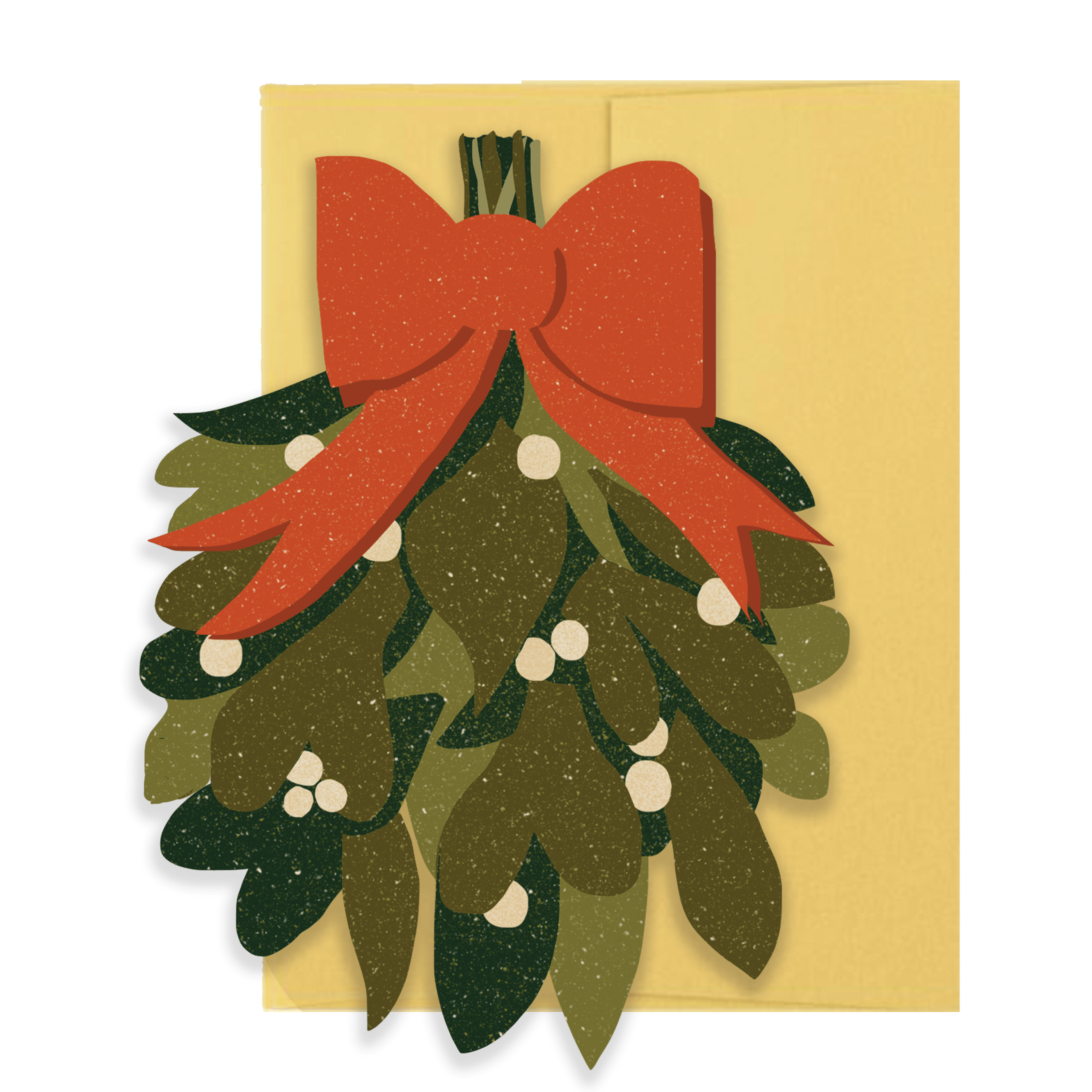 Holiday Collection Box Set - DIGS