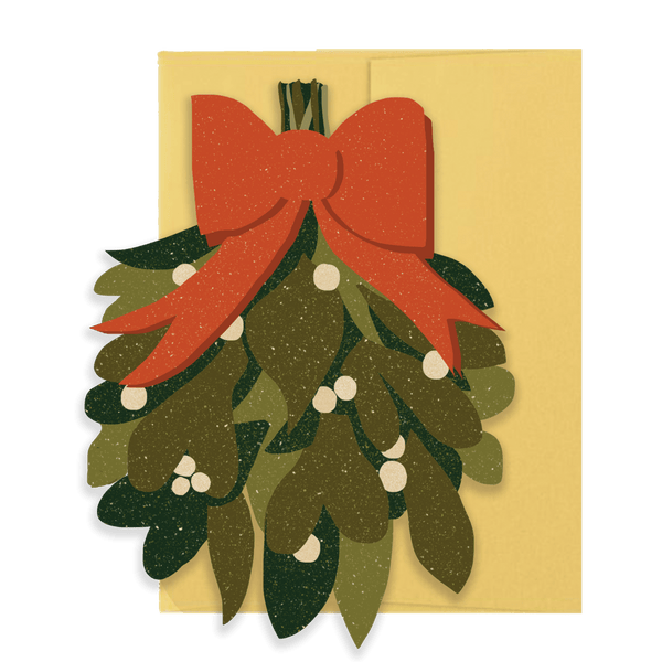 Holiday Collection Box Set - DIGS