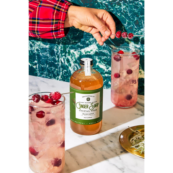 Holiday Ginger Snap Cocktail Mixer - DIGS
