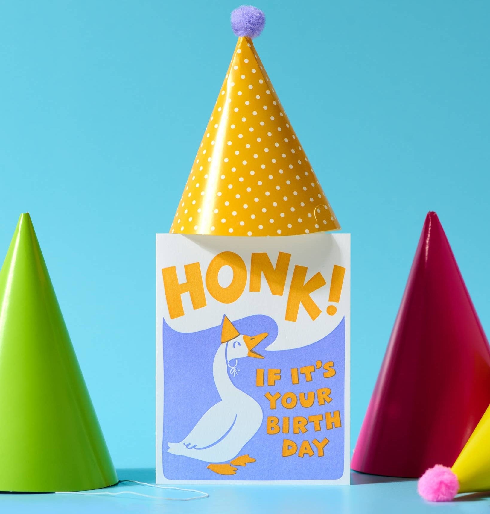 Honk Goose Birthday Card - DIGS