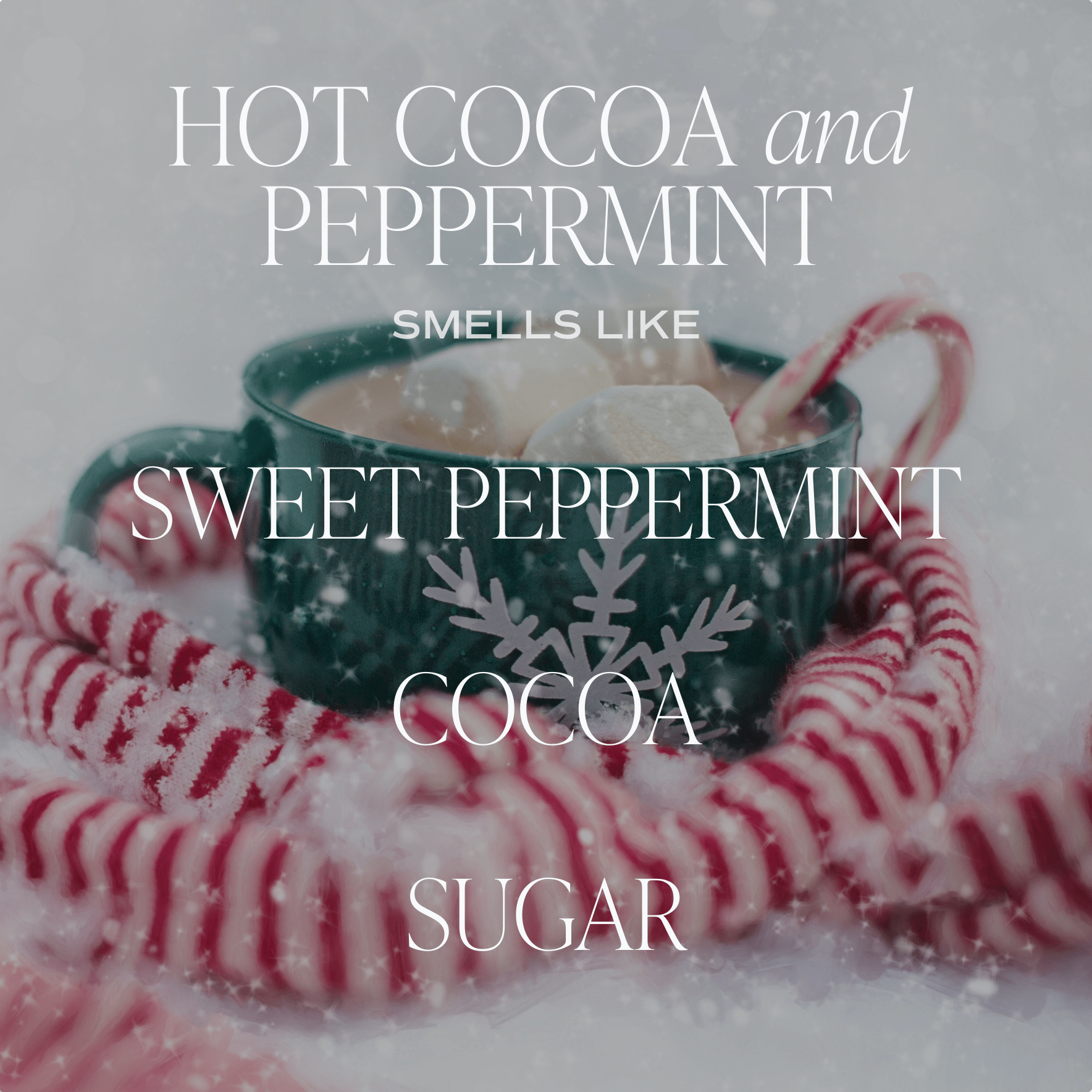 Hot Cocoa + Peppermint Candle - DIGS