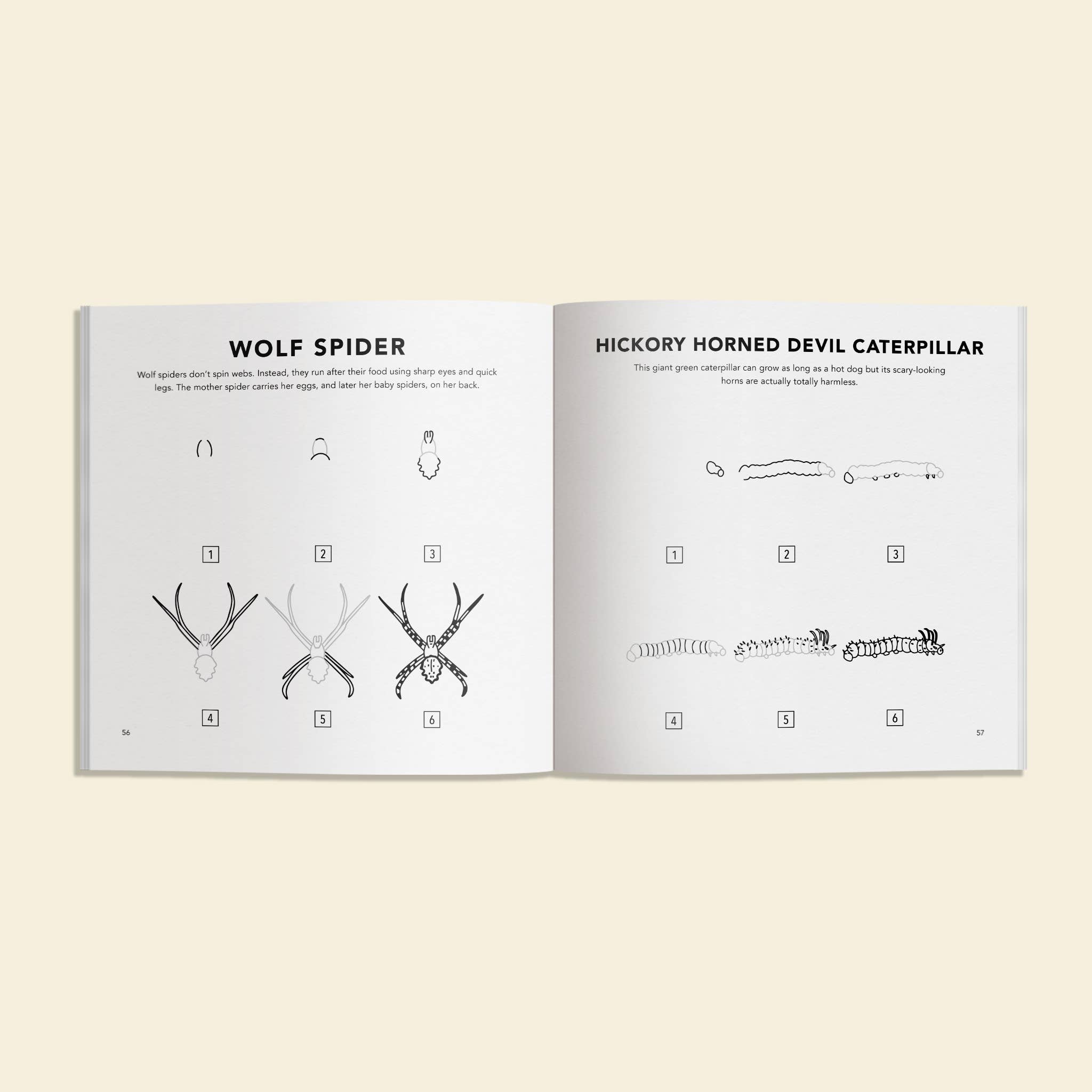 How to Draw Books for Kids: Bugs - DIGS