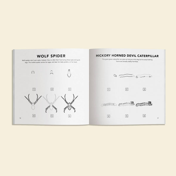 How to Draw Books for Kids: Bugs - DIGS