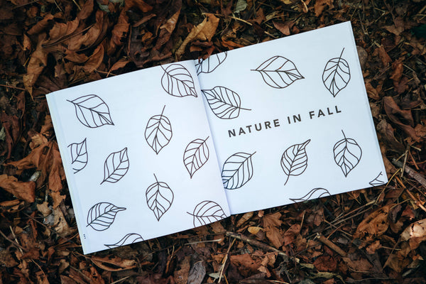 How to Draw Books for Kids: Fall Things - DIGS