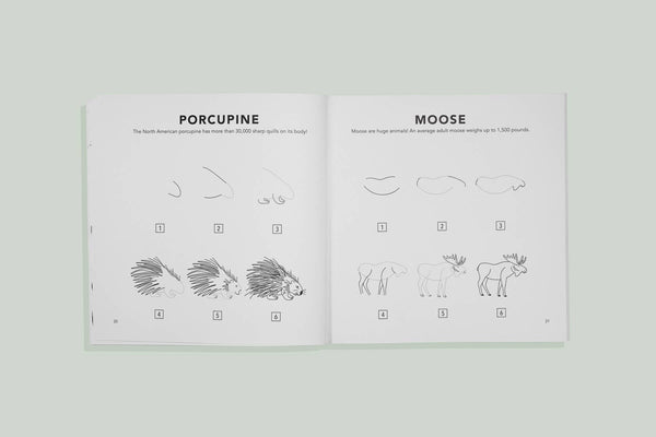 How to Draw Mushrooms & Woodland Creatures for Kids - DIGS