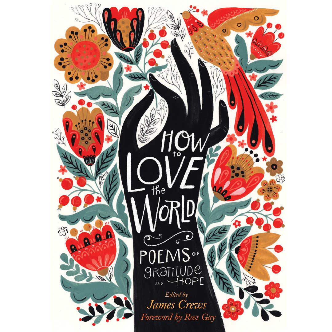 How to Love the World: Poems of Gratitude and Hope - DIGS