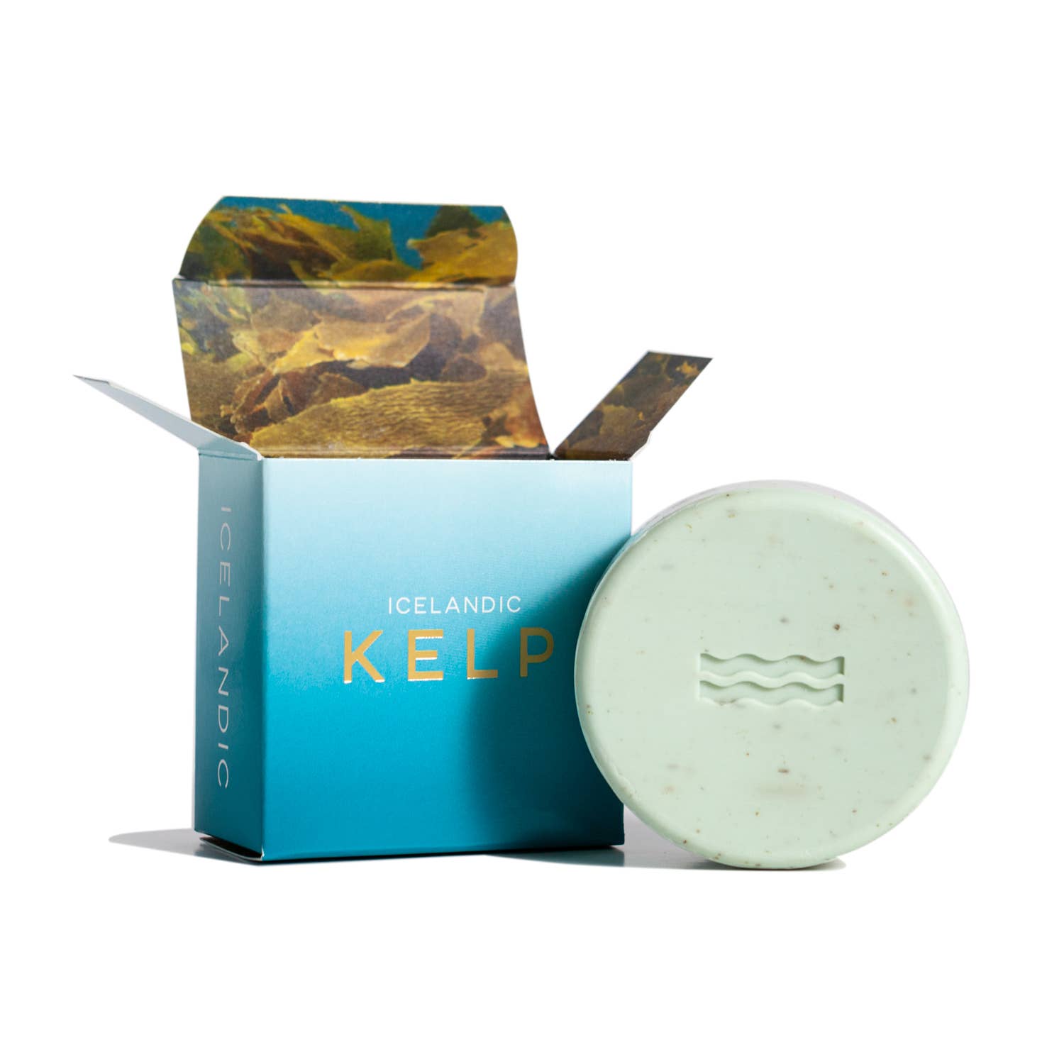 Icelandic Kelp Soap - DIGS