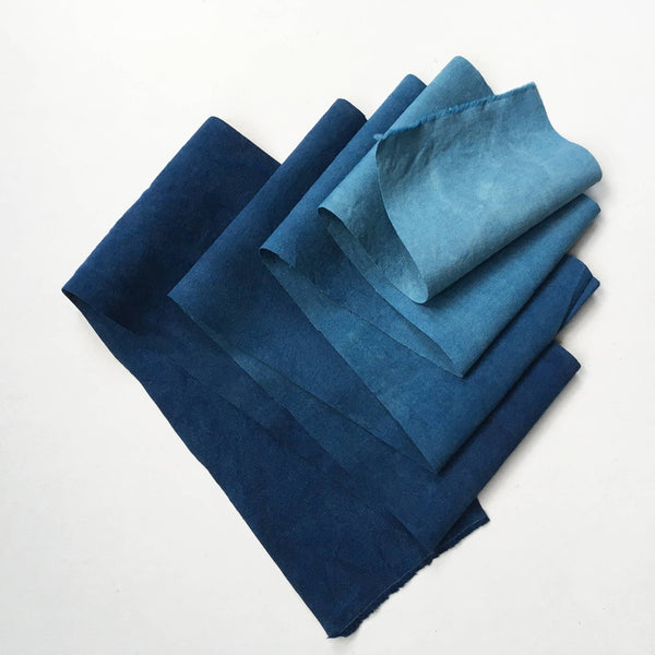 Indigo Kit - DIGS