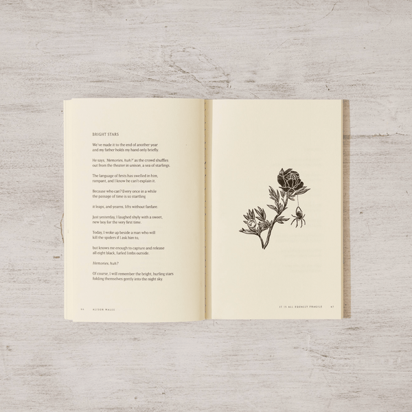 It Is All Equally Fragile - Poetry Book - DIGS