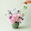Jade Petite Cascade Watering Can - DIGS