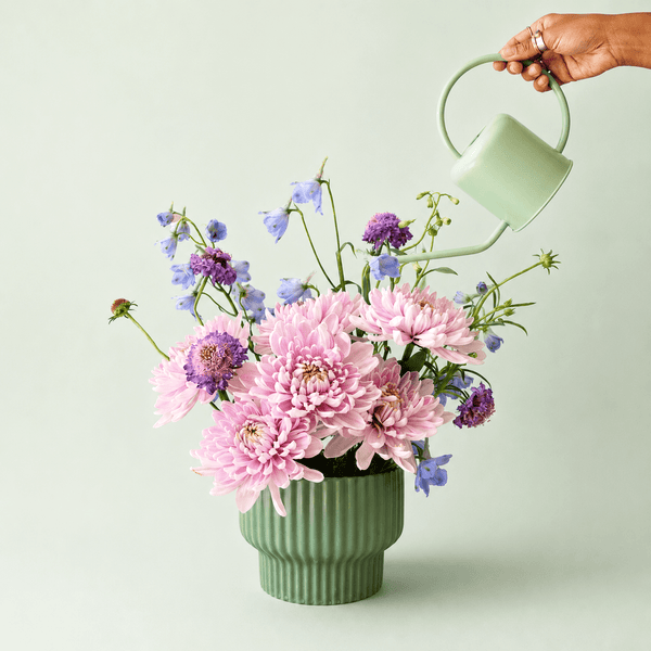 Jade Petite Cascade Watering Can - DIGS