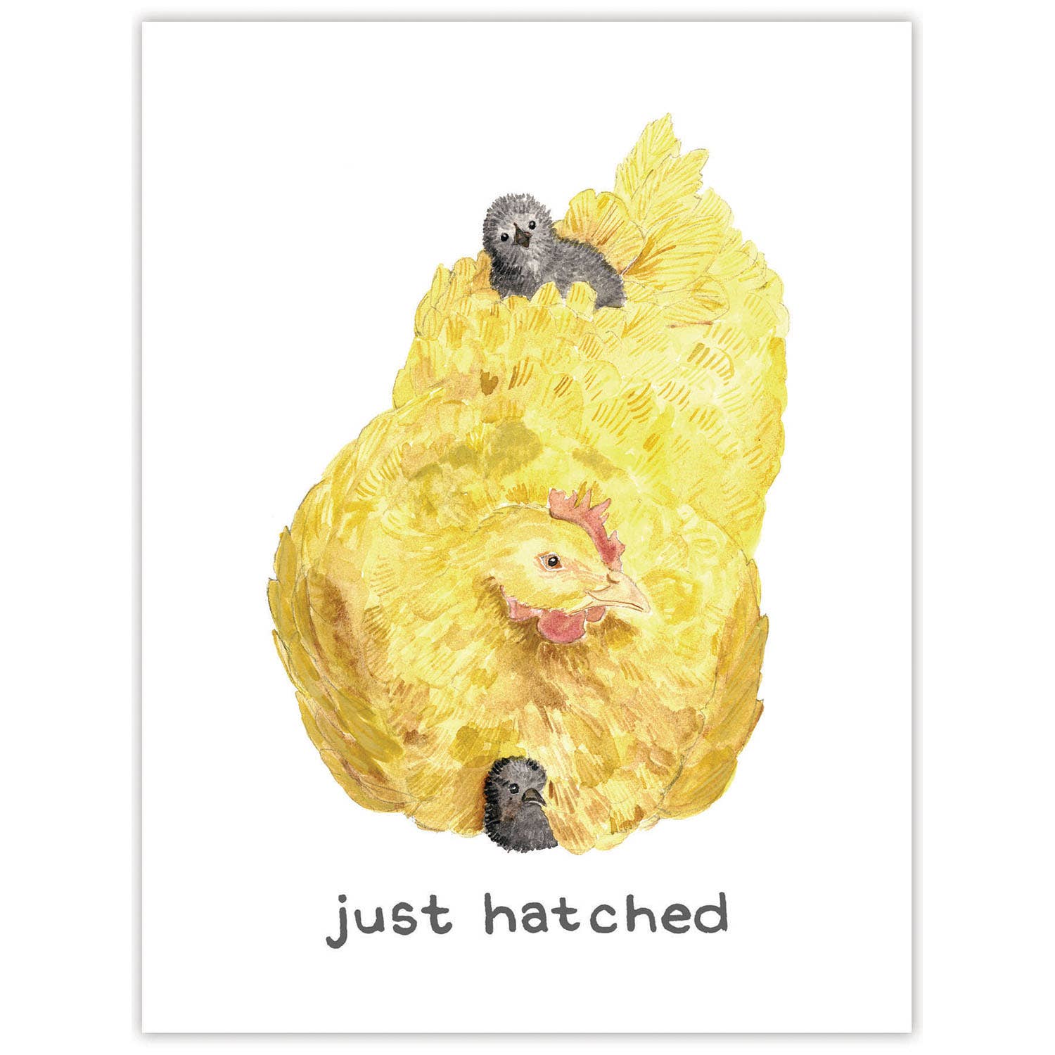 Just Hatched Greeting Card - DIGS