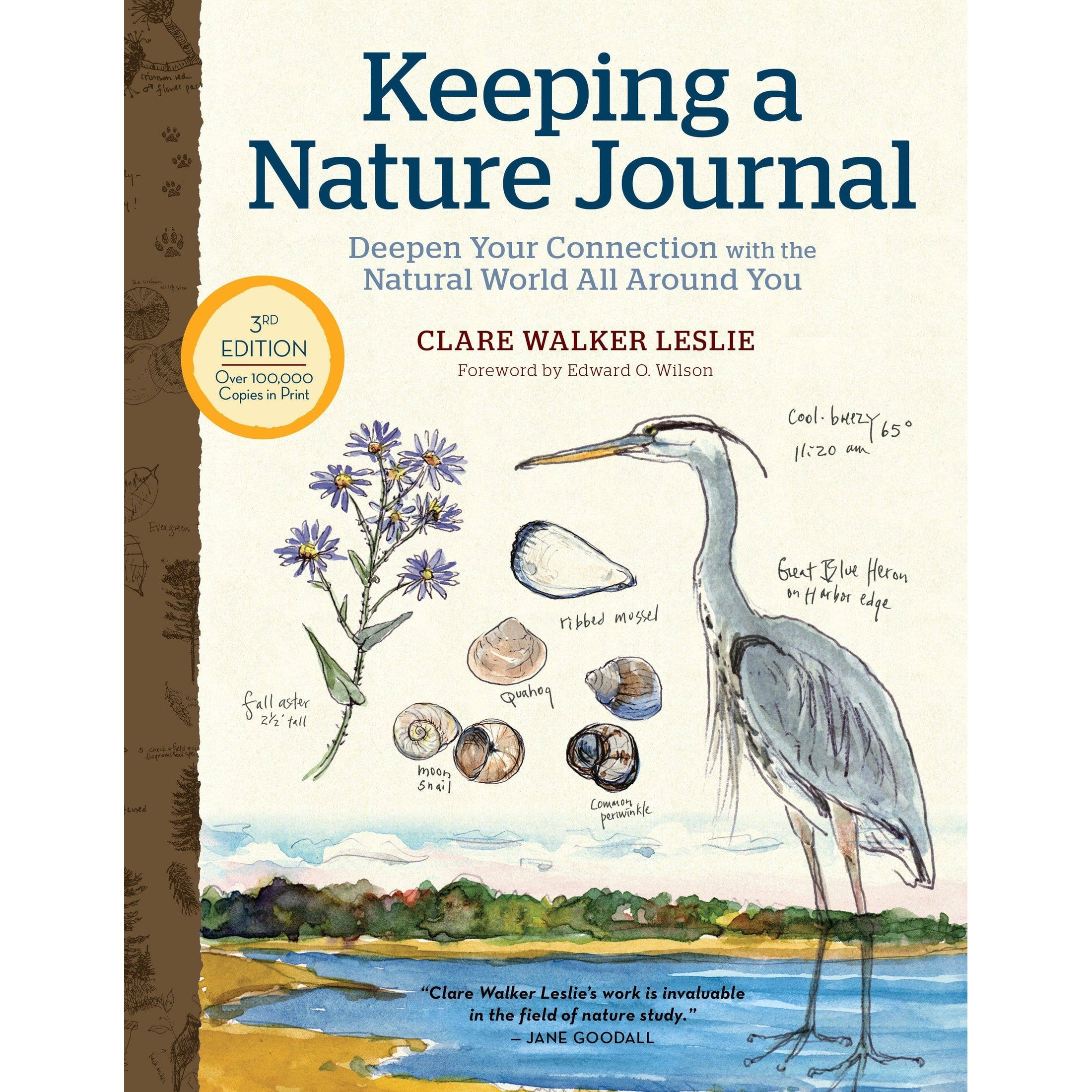Keeping a Nature Journal - DIGS