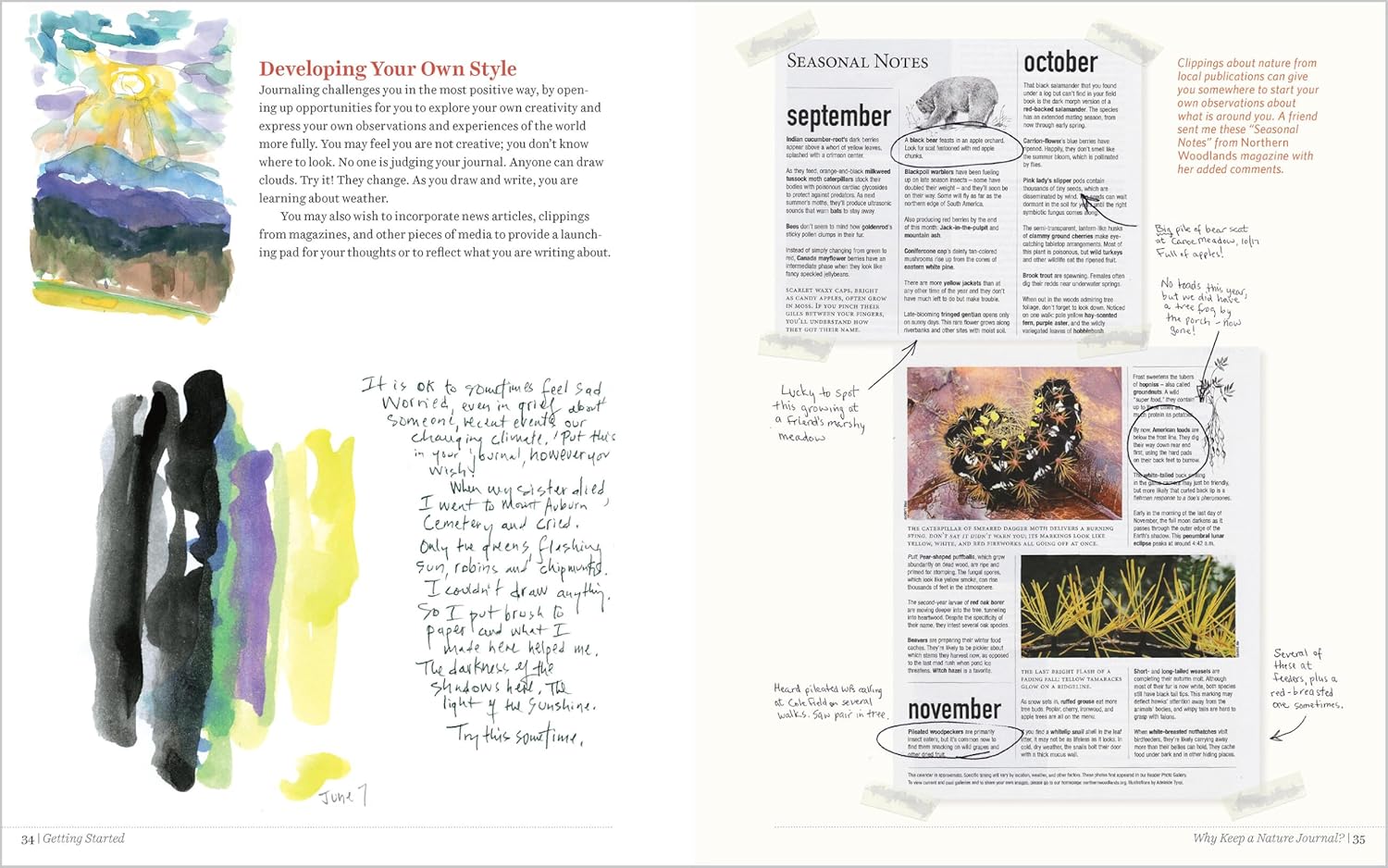 Keeping a Nature Journal - DIGS