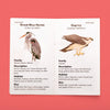 Kids' Binoculars - DIGS