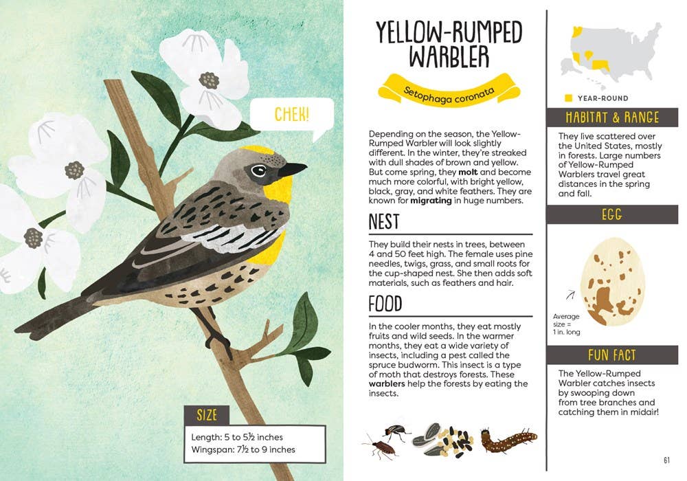 Kid’s Guide to Backyard Birds - DIGS