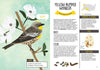 Kid’s Guide to Backyard Birds - DIGS