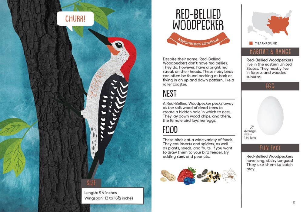 Kid’s Guide to Backyard Birds - DIGS